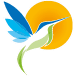 kolibrie uit logo intellisol