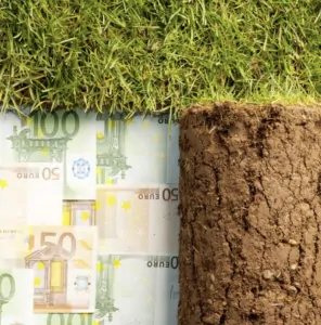 geld onder grasmat